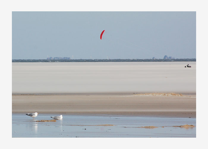 Amrum