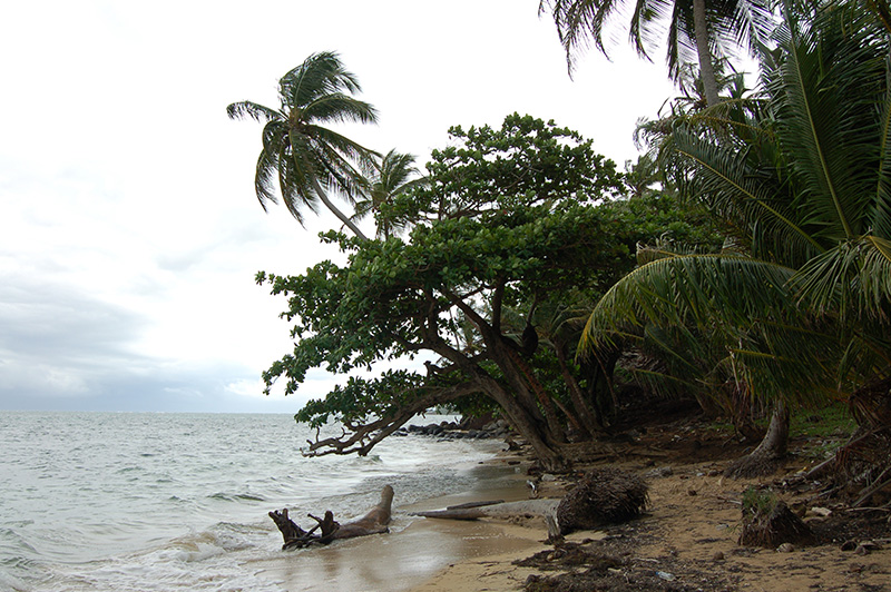 Little Corn Island