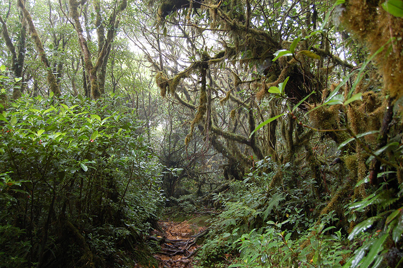 Isla de Ometepe